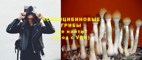 хмурый Верхний Тагил