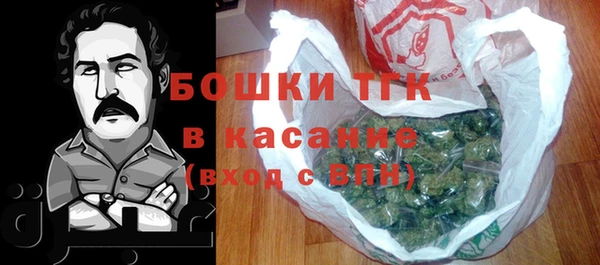 хмурый Верхний Тагил