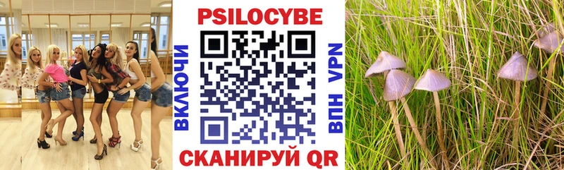 где купить наркоту  kraken зеркало  Псилоцибиновые грибы Magic Shrooms  Кизилюрт 